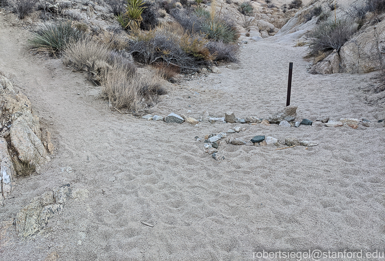 Joshua Tree National Park